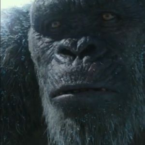 Meet your Posher, Mateo